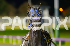 2025_PACEPIX_GP06052025_RACE9_Posseidon_WIN_WEB-23