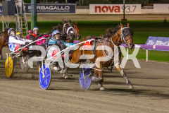 Priddah_01-05-2026_WIN_Gloucester-Park_9__04