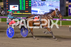 Priddah_01-05-2026_WIN_Gloucester-Park_9__05