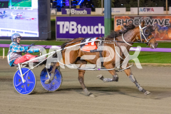 Priddah_01-05-2026_WIN_Gloucester-Park_9__06