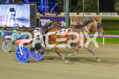 Priddah_01-05-2026_WIN_Gloucester-Park_9__08