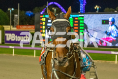 Priddah_01-05-2026_WIN_Gloucester-Park_9__09