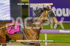 2026_PACEPIX_GP06102026_Race9_PrincessDiamond_WIN_WEB-12