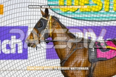 2026_PACEPIX_GP06102026_Race9_PrincessDiamond_WIN_WEB-15