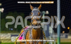 2026_PACEPIX_GP06102026_Race9_PrincessDiamond_WIN_WEB-19