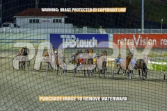 2026_PACEPIX_GP06102026_Race9_PrincessDiamond_WIN_WEB-2