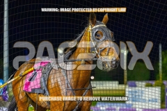 2026_PACEPIX_GP06102026_Race9_PrincessDiamond_WIN_WEB-20