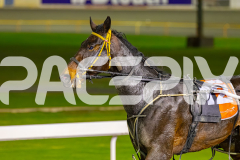 2026_Pacepix_GP25042026_RACE9_Rellim_WIN_WEB-12