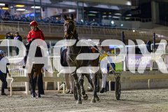 2026_Pacepix_GP25042026_RACE9_Rellim_WIN_WEB-19