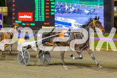 2026_Pacepix_GP25042026_RACE9_Rellim_WIN_WEB-5