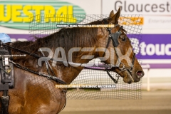 Rocknroll-Dillinger_20-10-2026_WIN_Gloucester-Park_9__01