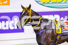 2026_PACEPIX_GP29052026_RACE9_RubyLovera_WIN_WEB-10