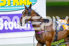 2026_PACEPIX_GP15052026_RACE9_RumbleStrip_WIN_WEB-12