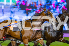 2026_PACEPIX_GP15052026_RACE9_RumbleStrip_WIN_WEB-3