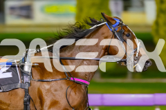 2026_PACEPIX_GP15052026_RACE9_RumbleStrip_WIN_WEB-4