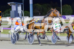 2025_PACEPIX_GP25112025_Race9_Shimmering_WIN_WEB-1