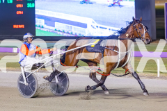 2025_PACEPIX_GP25112025_Race9_Shimmering_WIN_WEB-11