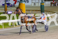 2025_PACEPIX_GP25112025_Race9_Shimmering_WIN_WEB-16