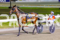 2025_PACEPIX_GP25112025_Race9_Shimmering_WIN_WEB-17