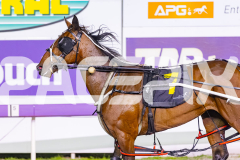2025_PACEPIX_GP25112025_Race9_Shimmering_WIN_WEB-18