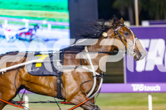 2025_PACEPIX_GP25112025_Race9_Shimmering_WIN_WEB-5