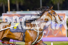 2025_PACEPIX_GP25112025_Race9_Shimmering_WIN_WEB-6