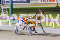2025_PACEPIX_GP25112025_Race9_Shimmering_WIN_WEB-8