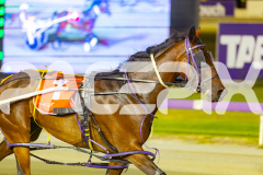 2026_Pacepix_GP30012026_RACE9_Siangdi_WIN_WEB-12