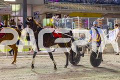 2026_Pacepix_GP30012026_RACE9_Siangdi_WIN_WEB-17