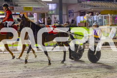 2026_Pacepix_GP30012026_RACE9_Siangdi_WIN_WEB-18