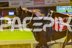 2026_Pacepix_GP30012026_RACE9_Siangdi_WIN_WEB-20