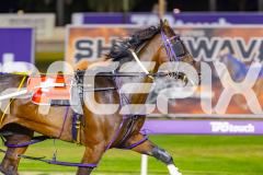 2026_Pacepix_GP30012026_RACE9_Siangdi_WIN_WEB-3