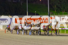 2025_PACEPIX_GP22082025_Race9_StarLilly_WIN_WEB-1