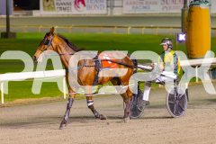 2025_PACEPIX_GP22082025_Race9_StarLilly_WIN_WEB-12