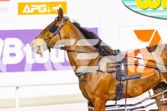 2025_PACEPIX_GP22082025_Race9_StarLilly_WIN_WEB-13