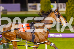 2025_PACEPIX_GP22082025_Race9_StarLilly_WIN_WEB-6