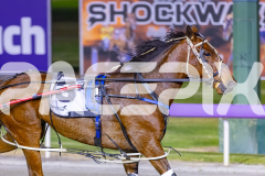 2025_PACEPIX_GP14102025_Race9_StarOfTheGalaxy_WIN_WEB-14