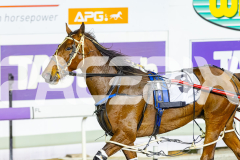 2025_PACEPIX_GP14102025_Race9_StarOfTheGalaxy_WIN_WEB-16