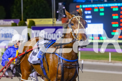 2025_PACEPIX_GP14102025_Race9_StarOfTheGalaxy_WIN_WEB-17