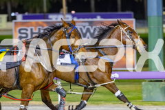 2025_PACEPIX_GP14102025_Race9_StarOfTheGalaxy_WIN_WEB-5