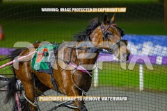 2026_PACEPIX_GP09102026_RACE9_StellaEdition_WIN_WEB-14