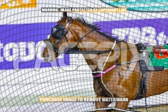 2026_PACEPIX_GP09102026_RACE9_StellaEdition_WIN_WEB-16