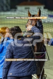 2026_PACEPIX_GP09102026_RACE9_StellaEdition_WIN_WEB-20