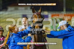 2026_PACEPIX_GP09102026_RACE9_StellaEdition_WIN_WEB-22