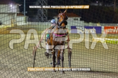 2026_PACEPIX_GP09102026_RACE9_StellaEdition_WIN_WEB-23