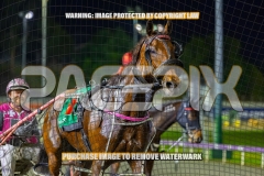 2026_PACEPIX_GP09102026_RACE9_StellaEdition_WIN_WEB-24