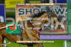 2026_PACEPIX_GP09102026_RACE9_StellaEdition_WIN_WEB-3