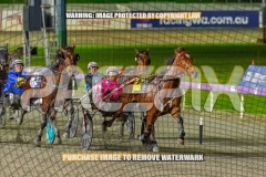 2026_PACEPIX_GP04092026_Race9_TexasStorm_WIN_WEB-12