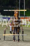 2026_PACEPIX_GP04092026_Race9_TexasStorm_WIN_WEB-25