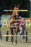 2026_PACEPIX_GP04092026_Race9_TexasStorm_WIN_WEB-26